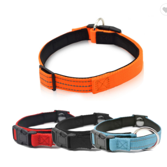 black dog training collar