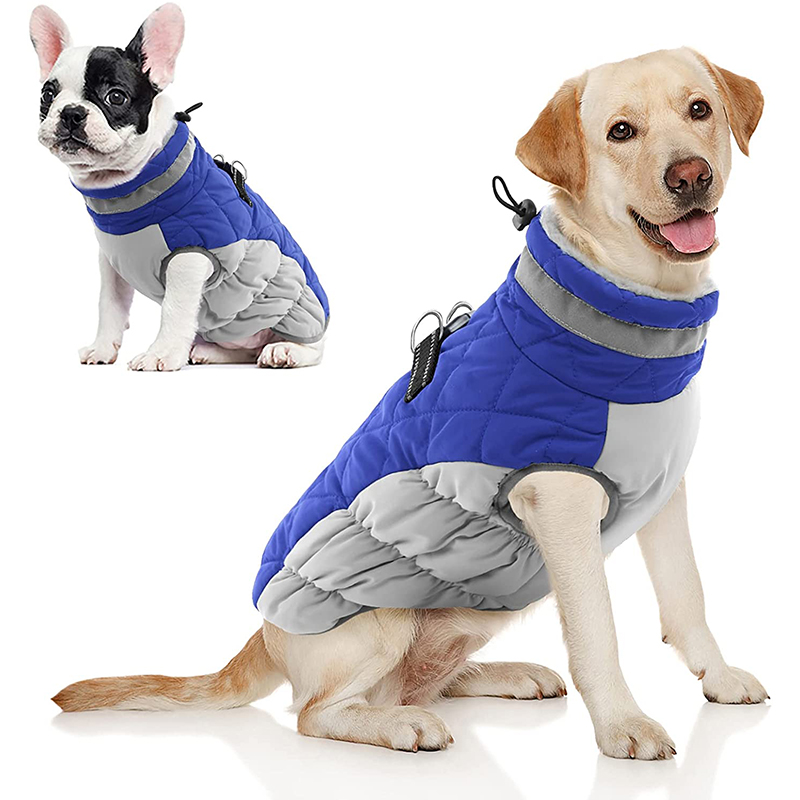 pet supplies plus dog clothes